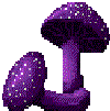 Purple Mushroom