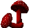 Red Mushroom